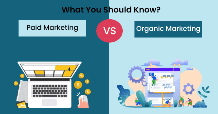Organic marketing vs. paid marketing — differences and benefits